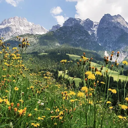 Appartementhaus Salzmann Apartamento Leogang