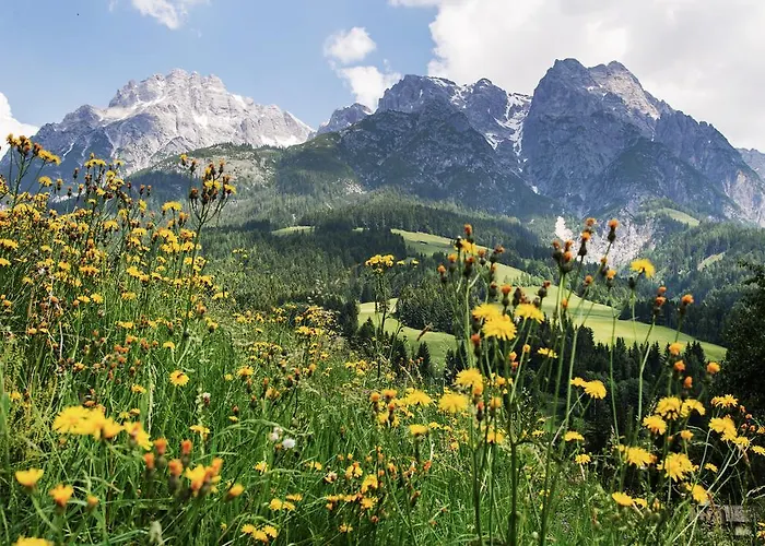 Appartementhaus Salzmann Διαμέρισμα Leogang
